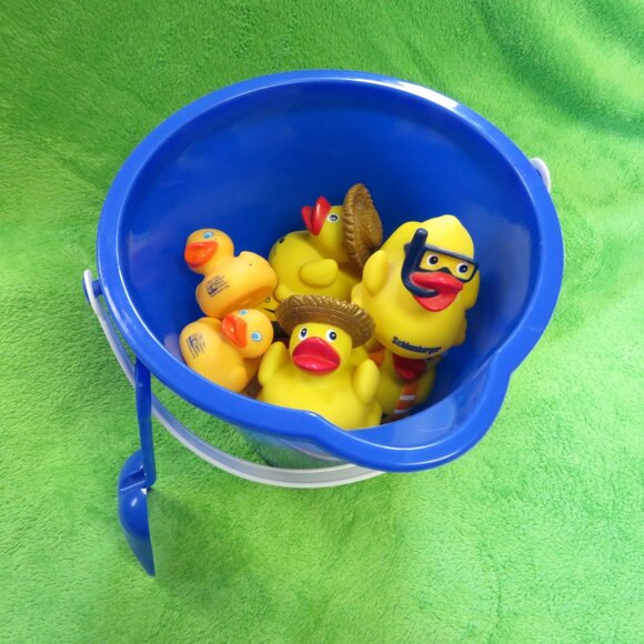DUCKS In A BUCKET! - Picture 2 of 7